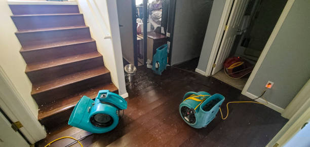 Best Water damage restoration near me  in Holdenville, OK