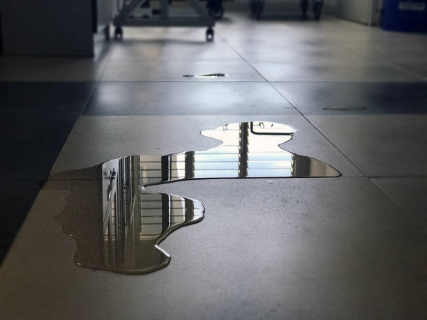 Best Professional water damage repair  in Holdenville, OK