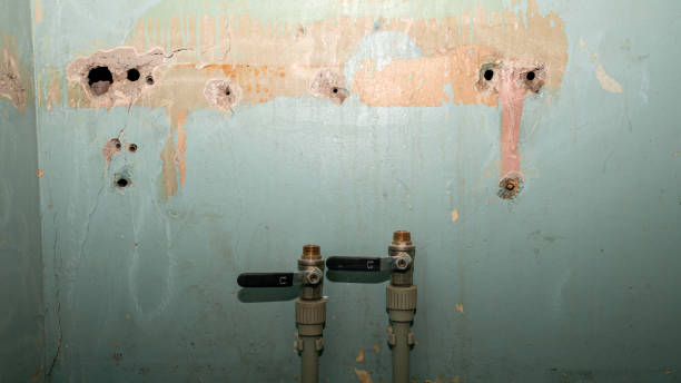 Best Mold removal after water damage  in Holdenville, OK