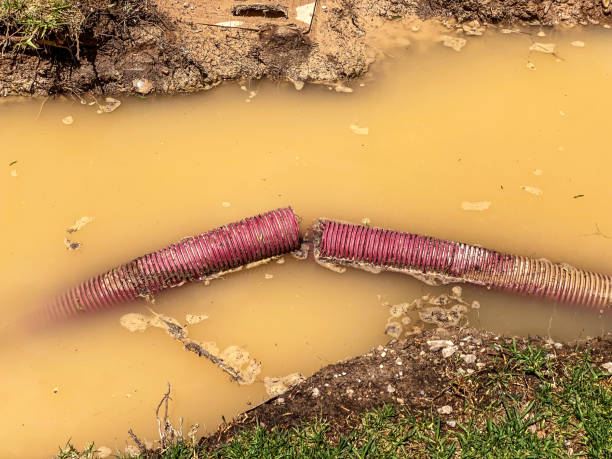 Best Mold removal after water damage  in Holdenville, OK